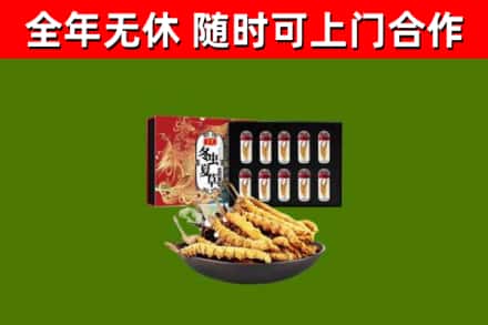 牟定县回收冬虫夏草价格