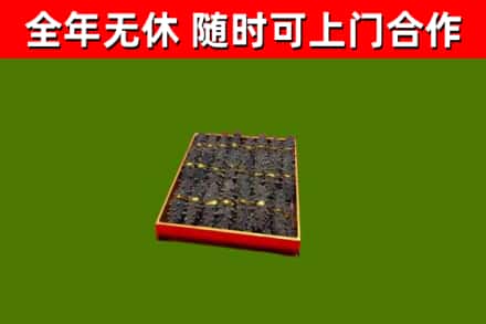 牟定县回收海参